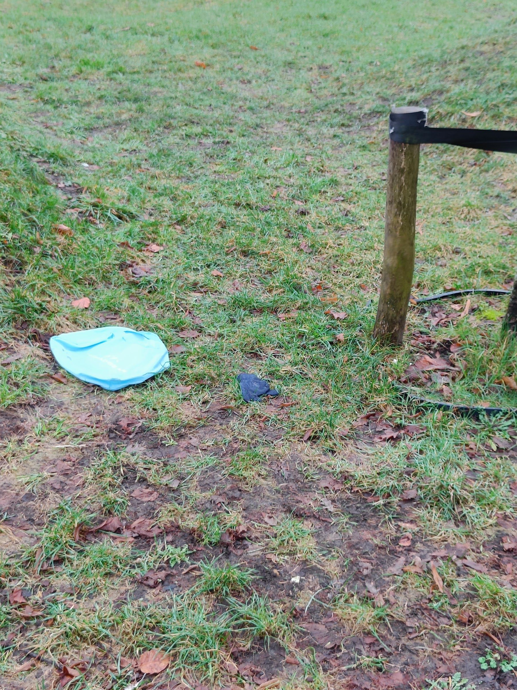 black glove found on 16 Feb 2026