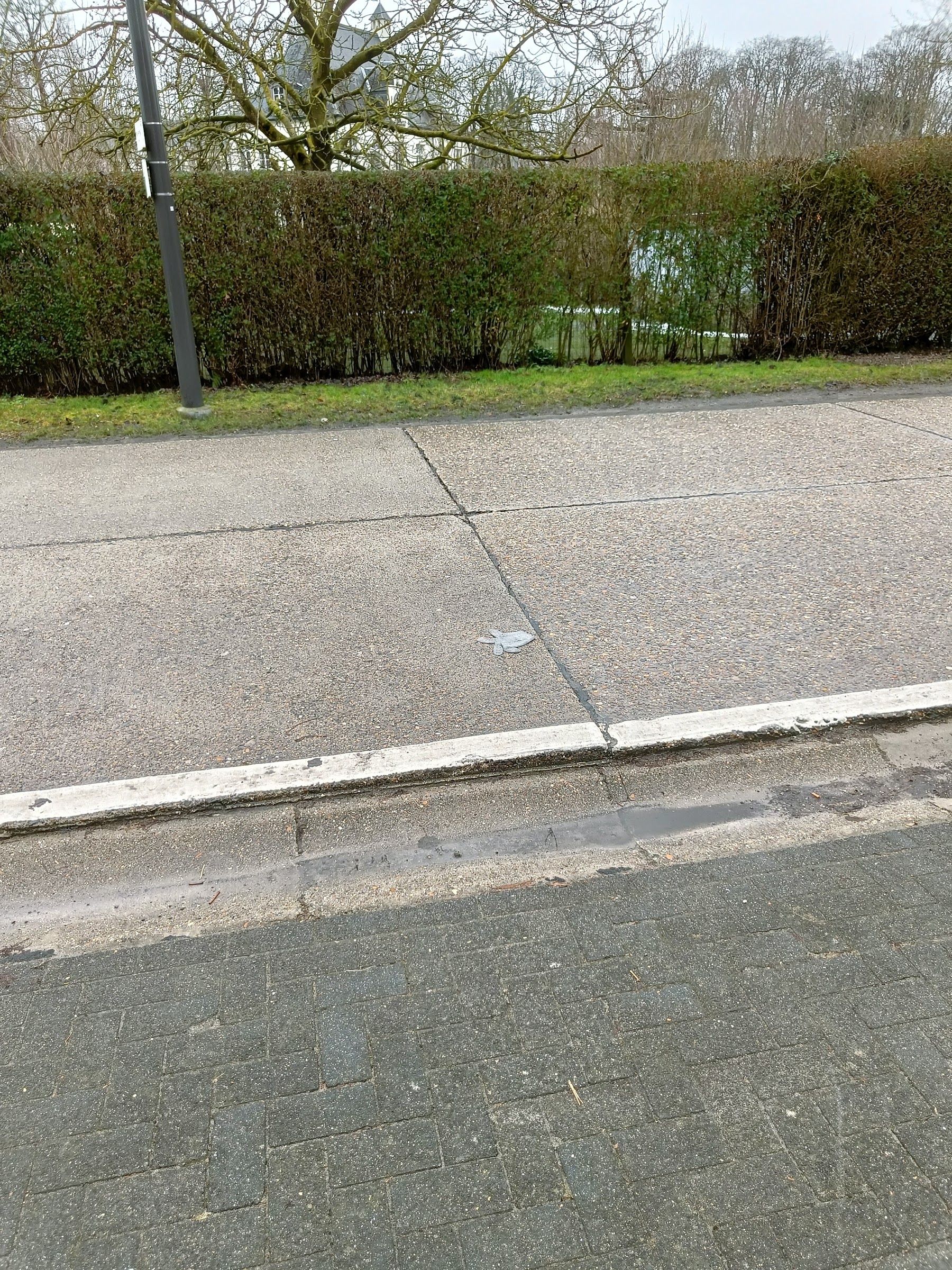 grey glove found on 16 Feb 2026