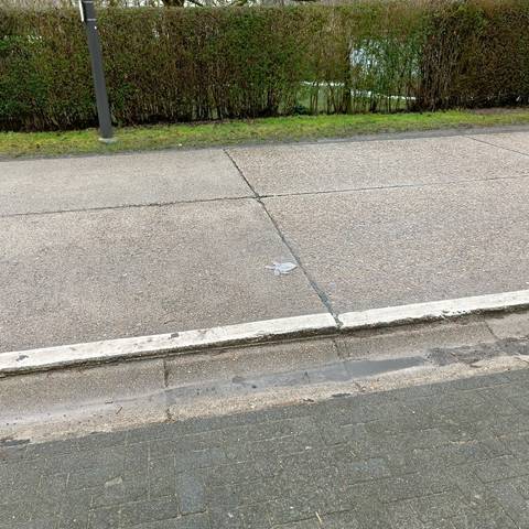 grey glove found on 16 Feb 2026
