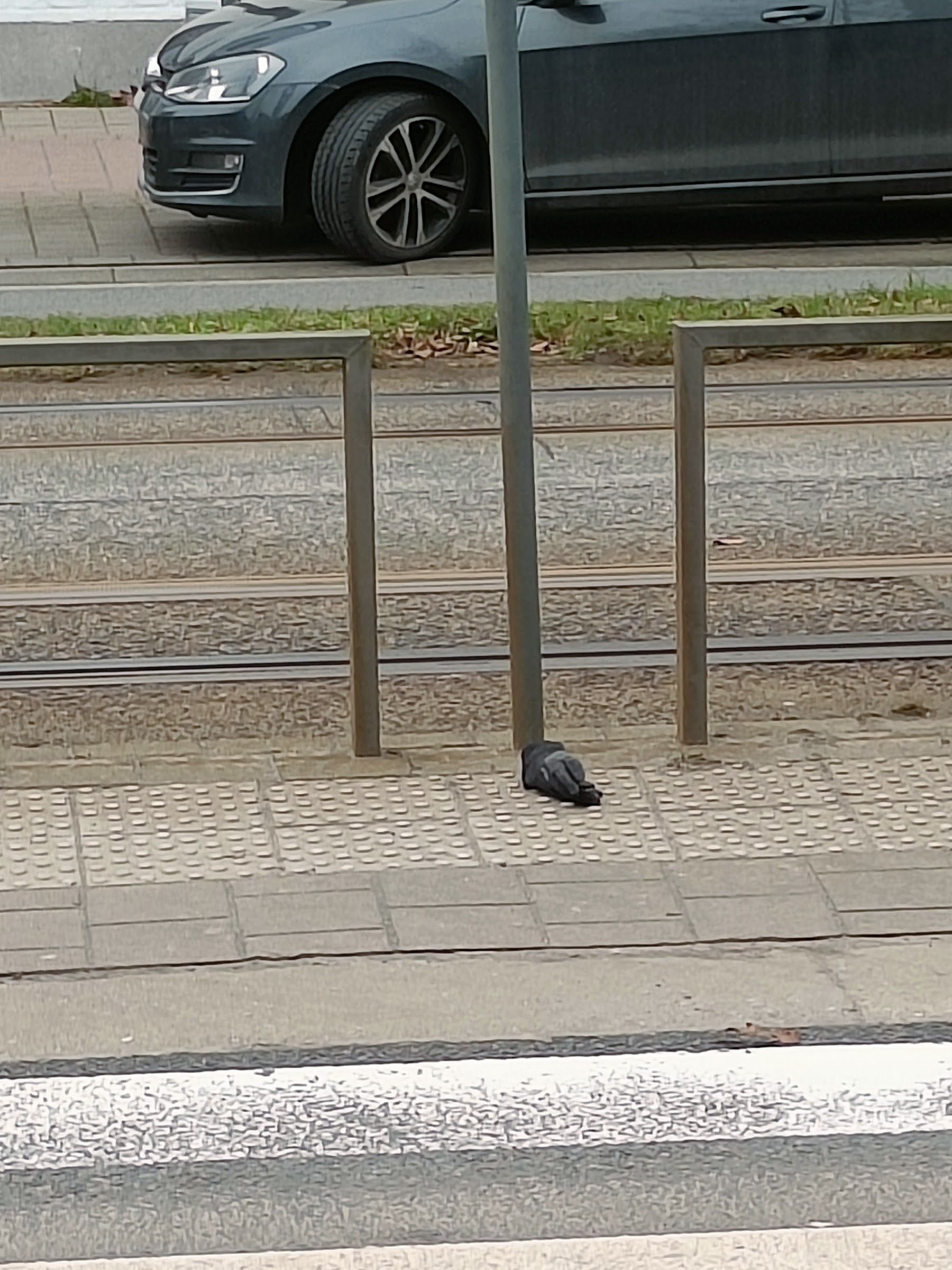 black glove found on 9 Feb 2026