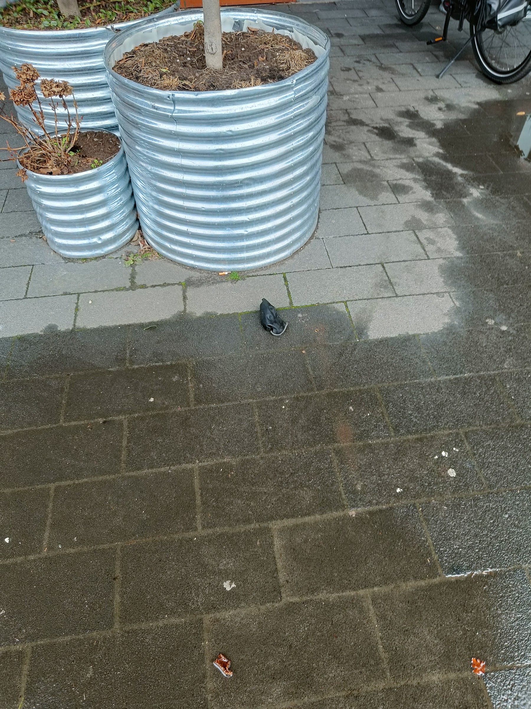 black glove found on 17 Feb 2026