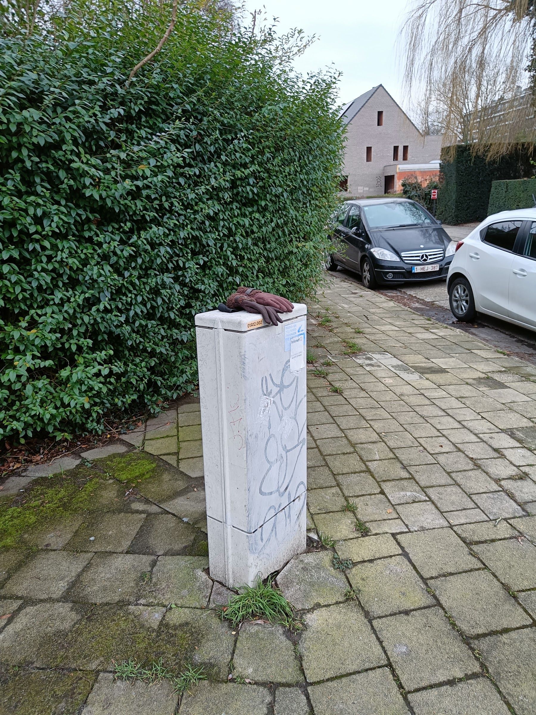 brown glove found on 18 Feb 2026