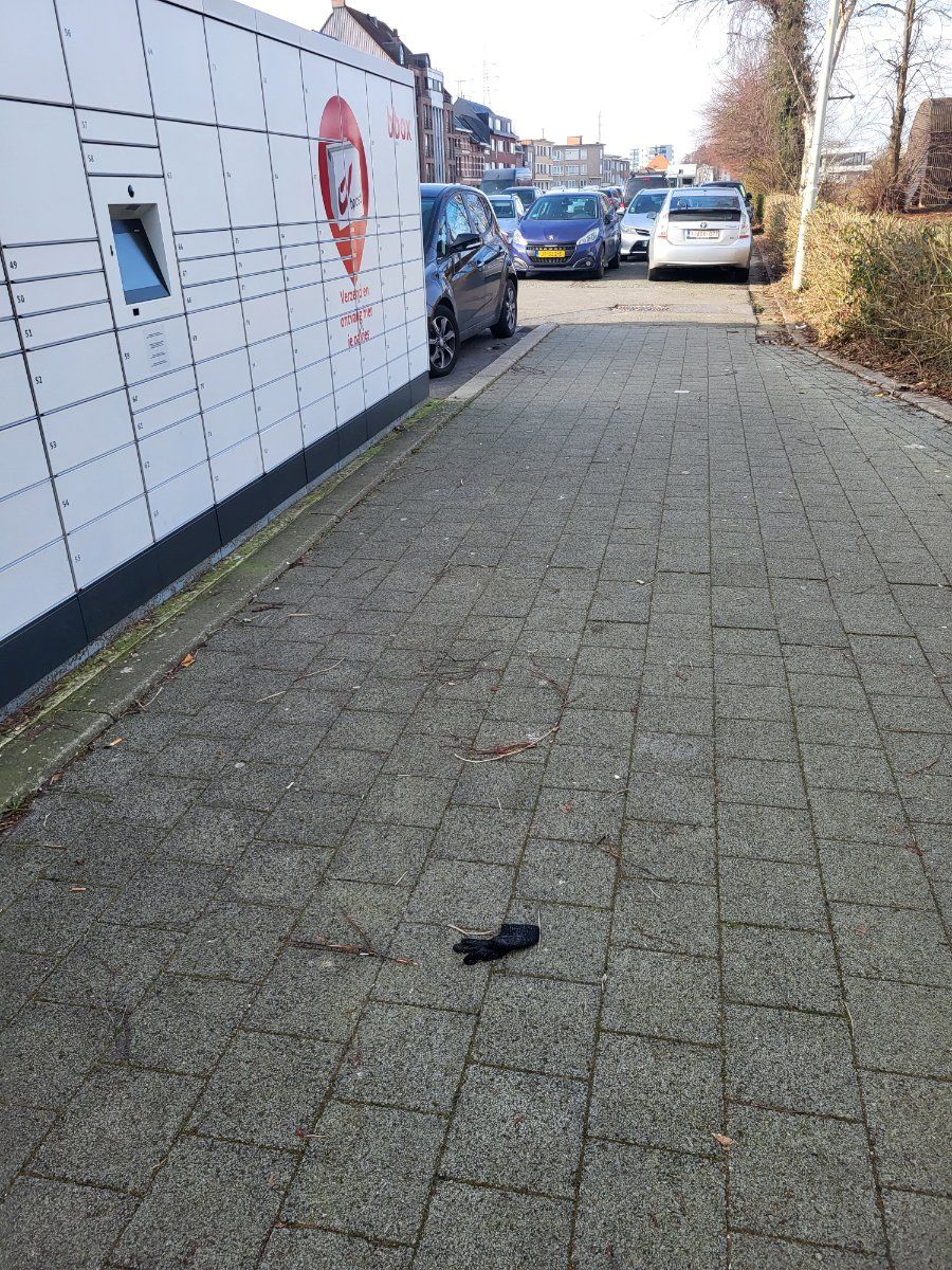black glove found on 15 Feb 2026