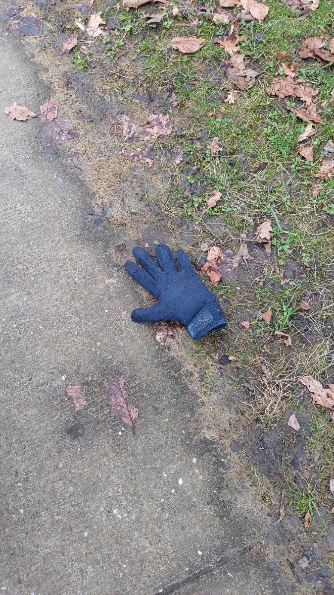 blue glove found on 20 Feb 2026