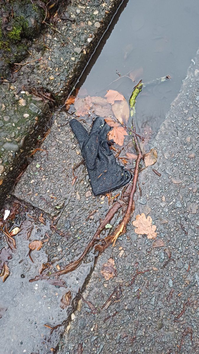 black glove found on 22 Feb 2026