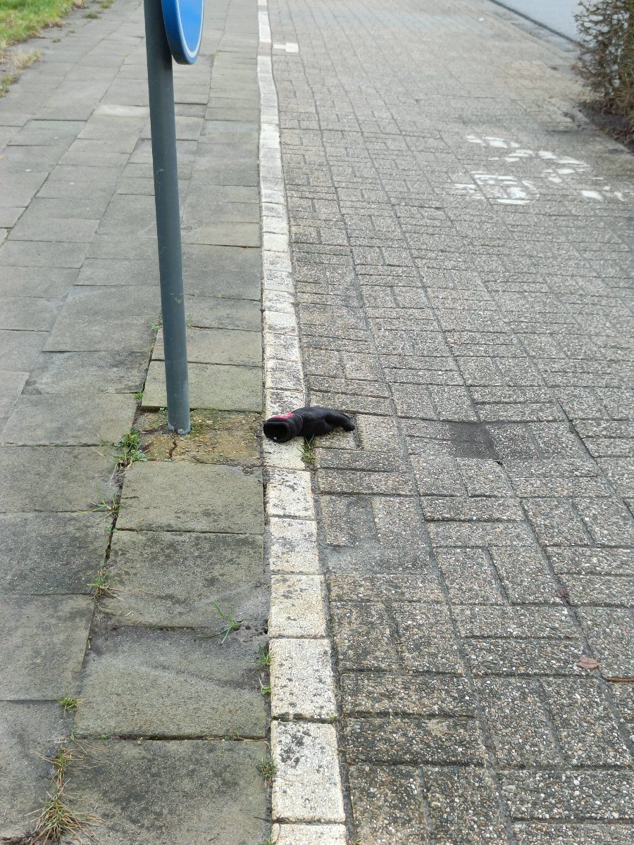 black glove found on 23 Feb 2026