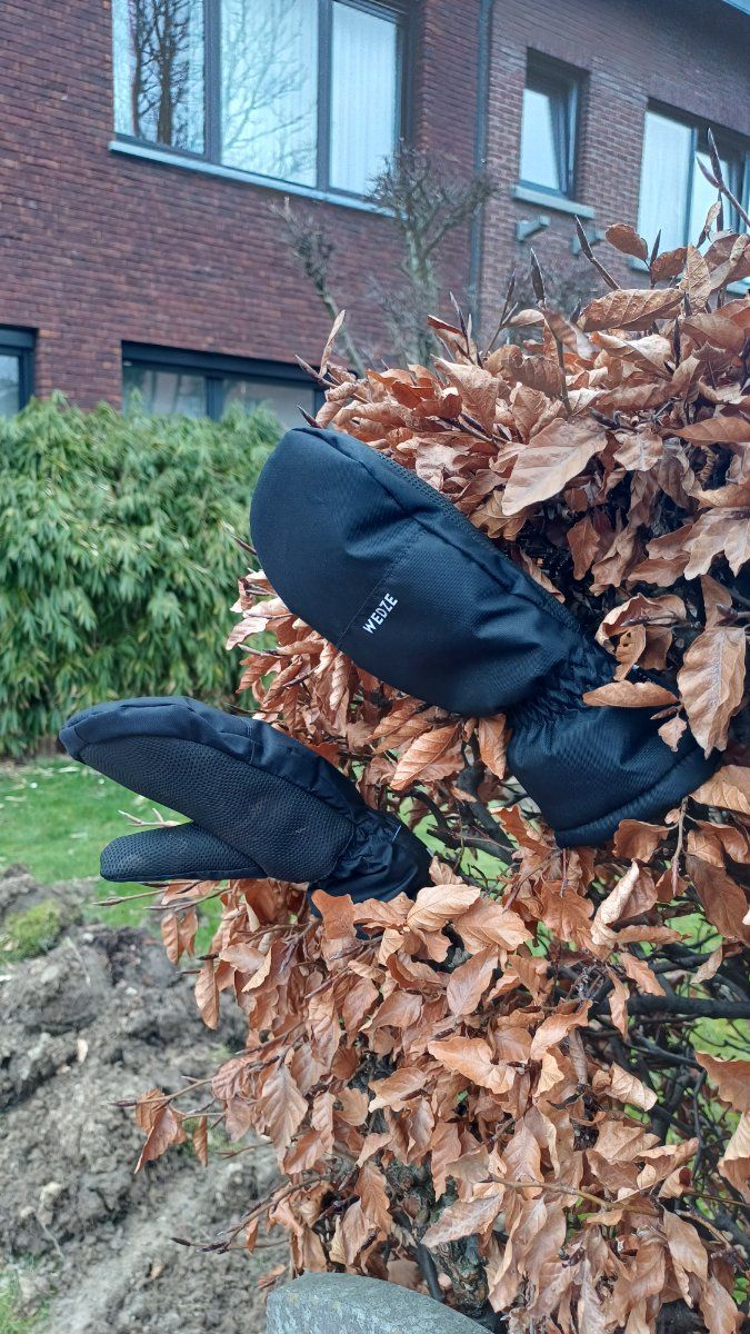 black glove found on 23 Feb 2026