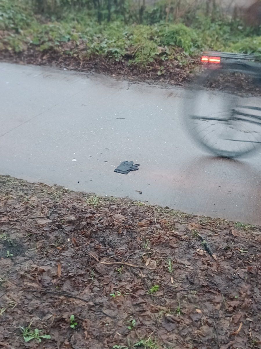 black glove found on 24 Feb 2026