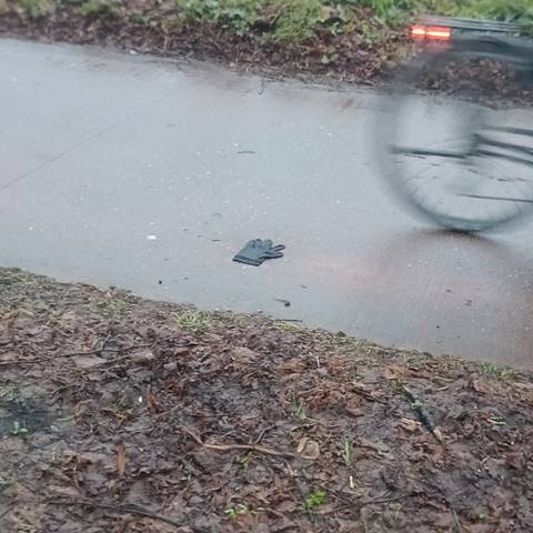 black glove found on 24 Feb 2026