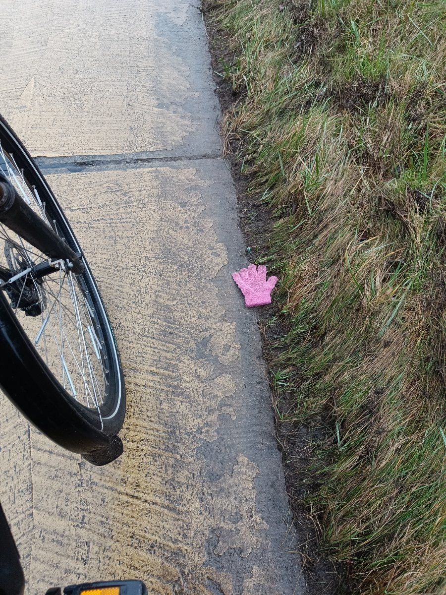 pink glove found on 24 Feb 2026