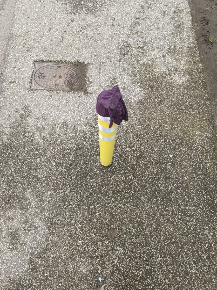 purple glove found on 24 Feb 2026