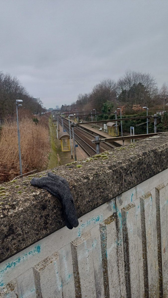 grey glove found on 24 Feb 2026
