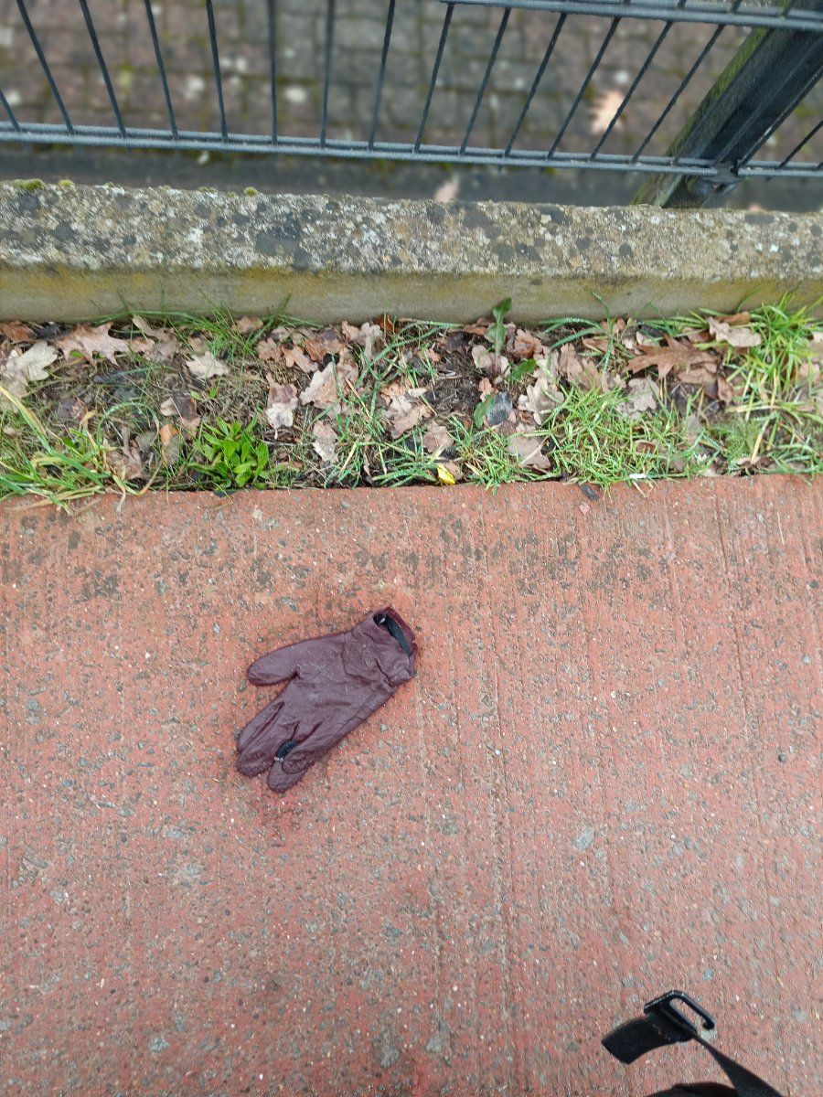 brown glove found on 24 Feb 2026