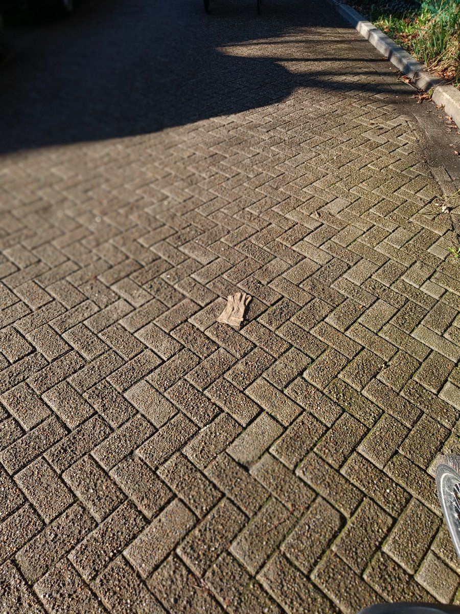 Lost single glove found in Belgium