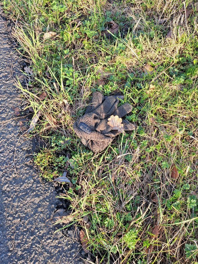 green glove found on 25 Feb 2026