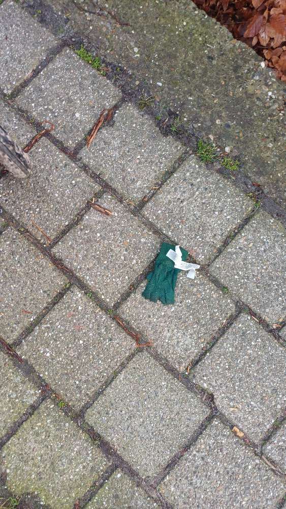 green glove found on 26 Feb 2026