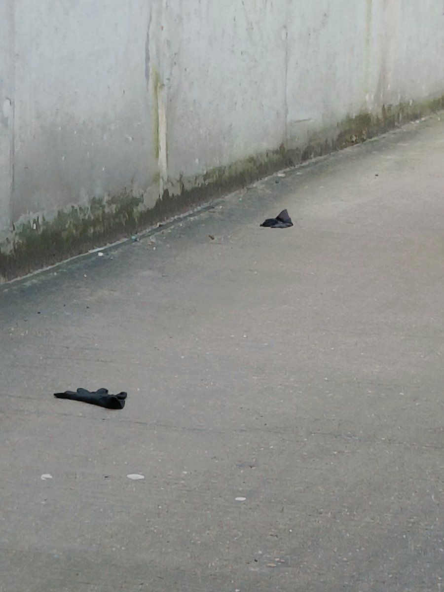 black glove found on 26 Feb 2026