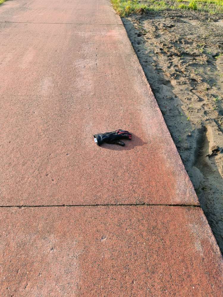 black glove found on 26 Feb 2026