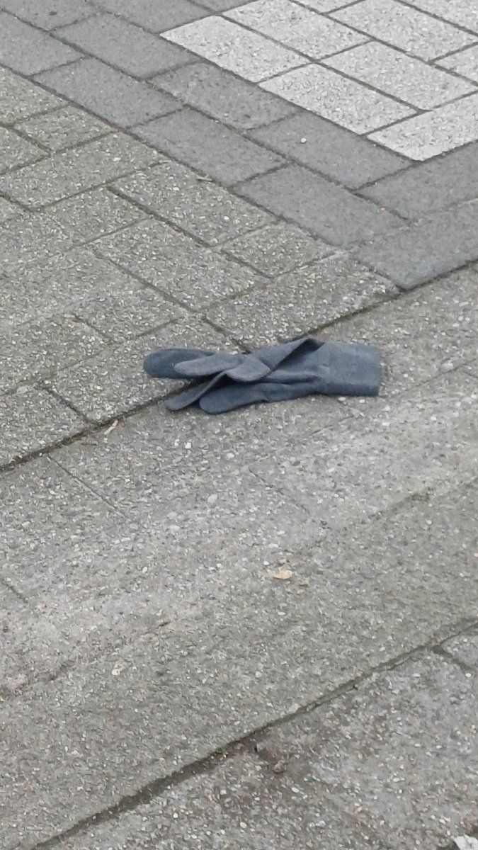 grey glove found on 26 Feb 2026