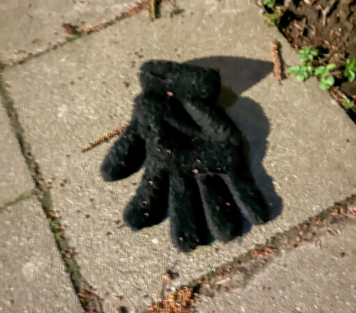 black glove found on 26 Feb 2026