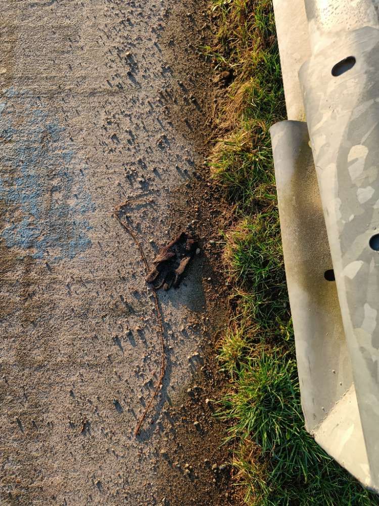 black glove found on 27 Feb 2026