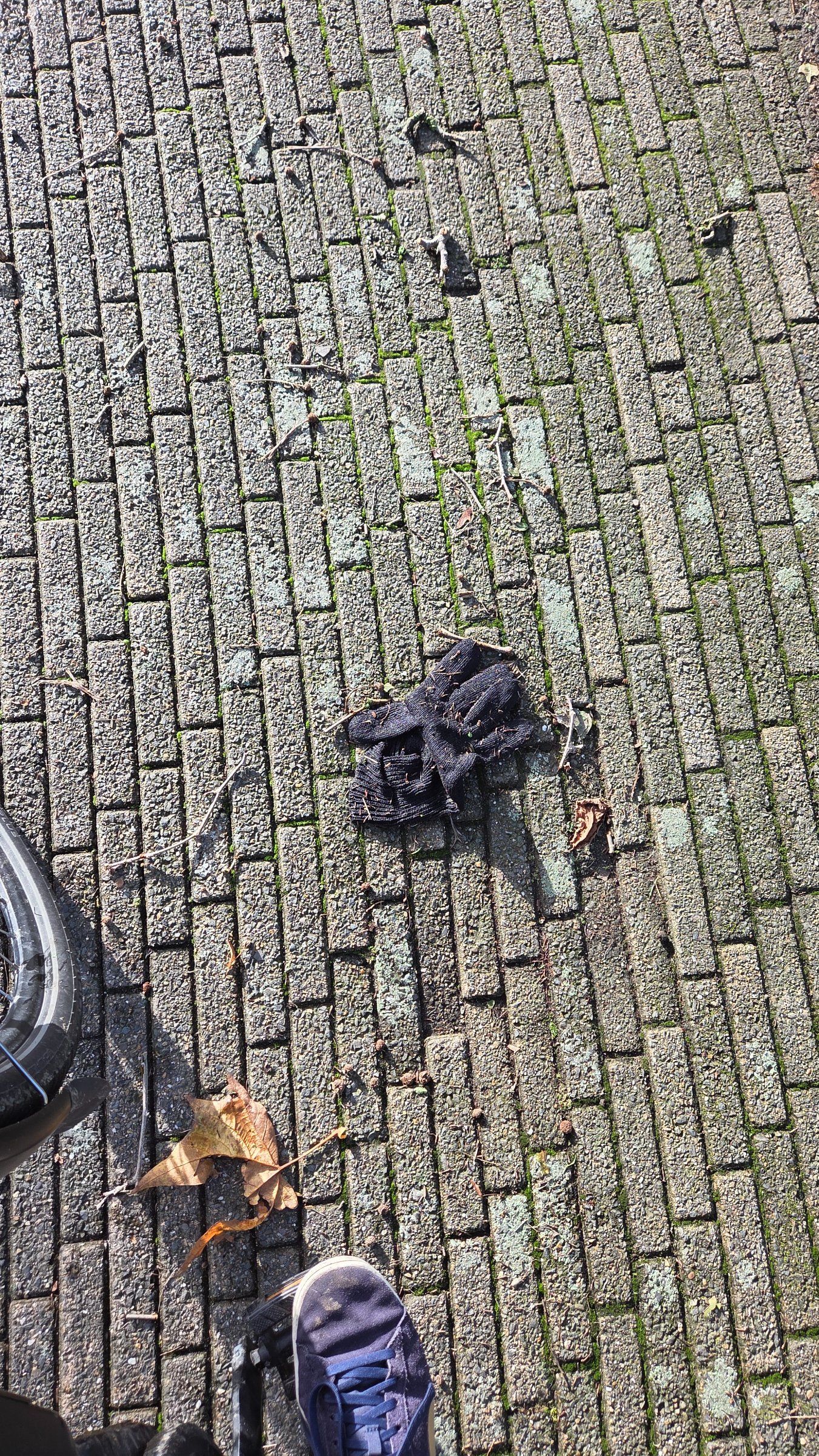 Lost black glove found in Belgium
