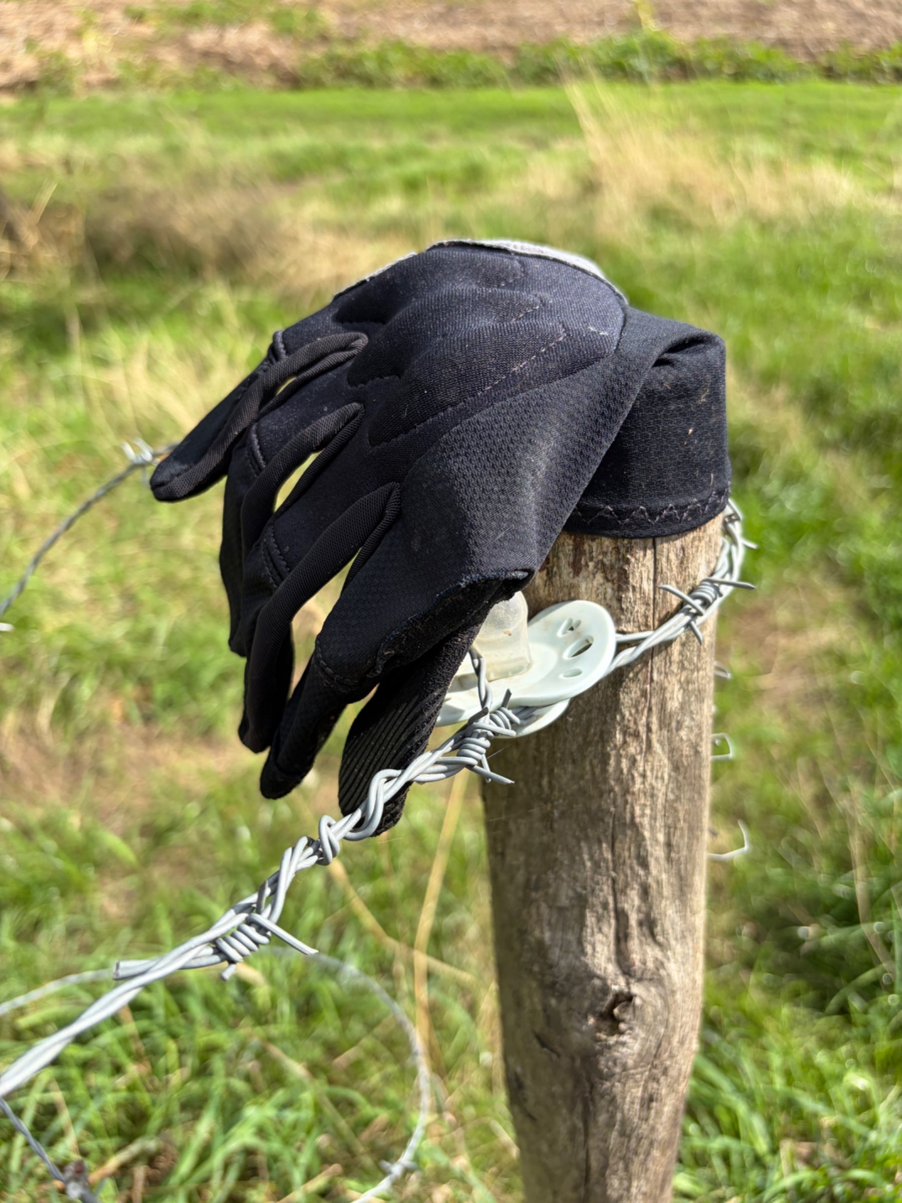 Lost black glove found in Belgium